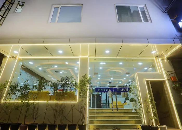 Fabhotel Airport Zone Olive New Delhi
